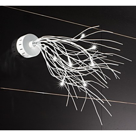 Icone Luce Saggina 6 Lampada da Parete/Soffitto