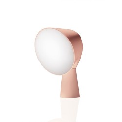 Binic Table