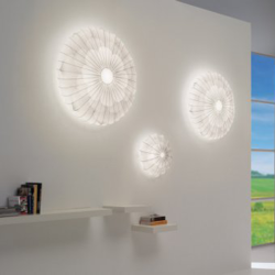 Muse 60 Wall/Ceiling lamp