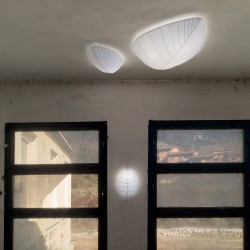 Eden Collection wall/ceiling lamp