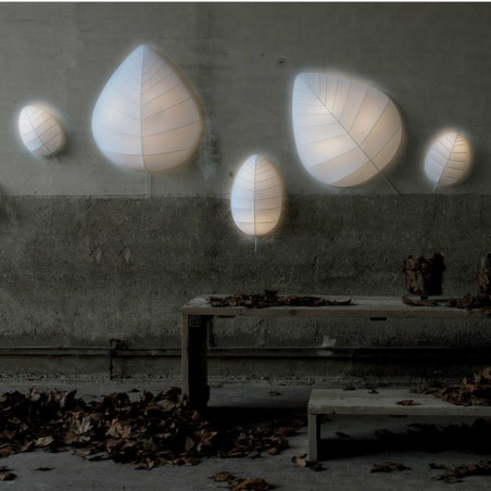Eden Collection wall/ceiling lamp