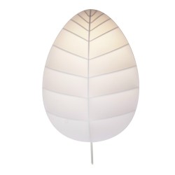 Eden Collection wall/ceiling lamp