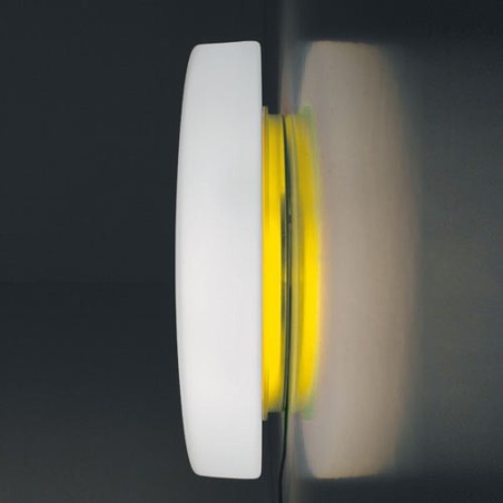 Drum Halo