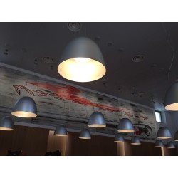 Artemide Nur Halo Lampada a Sospensione