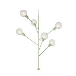 Modoluce Baobab Lampada a Sospensione 6 Bracci