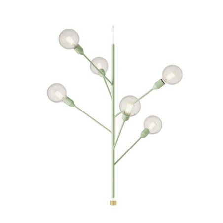 Modoluce Baobab Lampada a Sospensione 6 Bracci