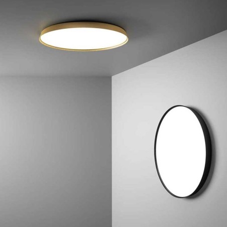 Luceplan Compendium Plate Lampada da Parete/Soffitto