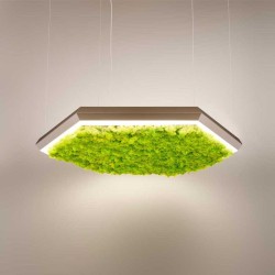 Olev Exagon Silence Green Lampada a Sospensione