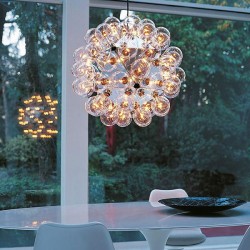 Flos Taraxacum 88 S2