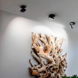 Lodes Nautilus Champagne Lampada da Parete Offerta