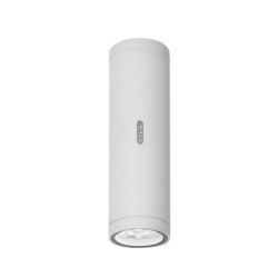Artemide Calumet Lampada da Parete per Esterno