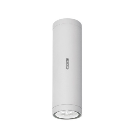 Artemide Calumet Lampada da Soffitto per Esterno