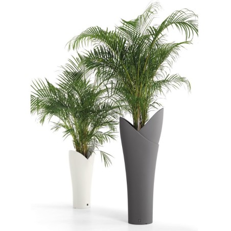 Lyxo Assia Cache-Pot Vaso