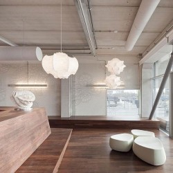 Flos Taraxacum 2 Lampada a Sospensione